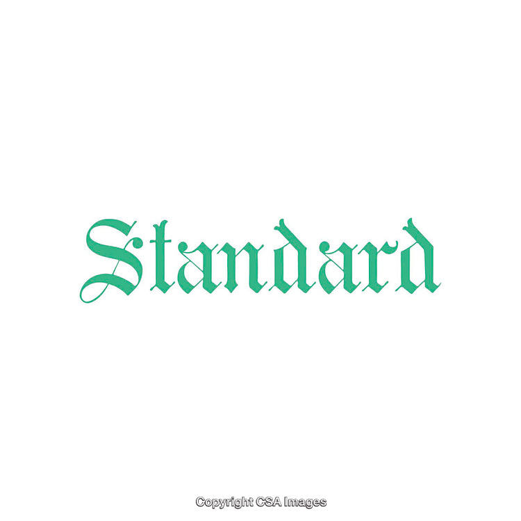 Green Decorative Typography Displaying the Word Standard on a White Background