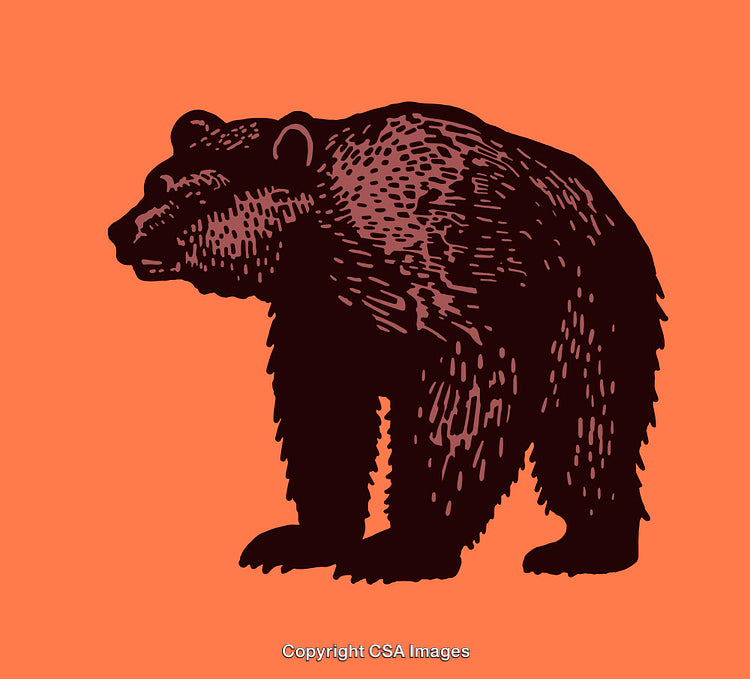 Bold Illustration of a Bear Silhouette in Vintage Style on Orange Background