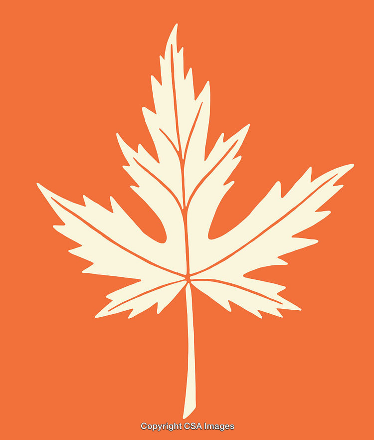 Autumn Leaf Illustration in Beige on a Vibrant Orange Background