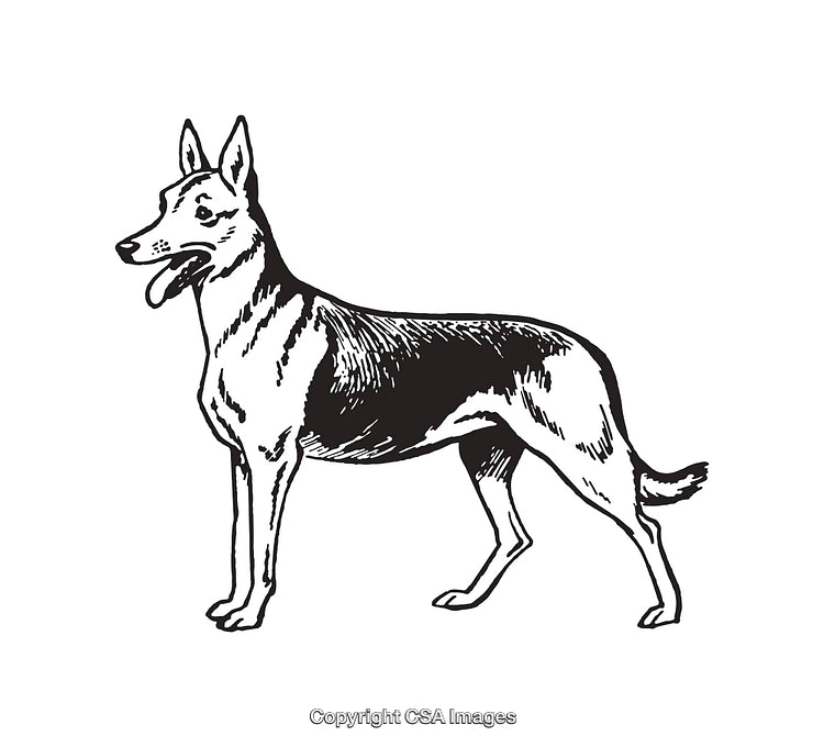 Black and White Line Art of a Standing Dog Illustration