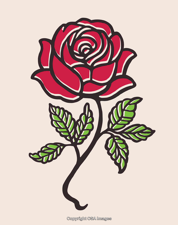 Bright Red Rose Illustration with Green Leaves on a Light Background