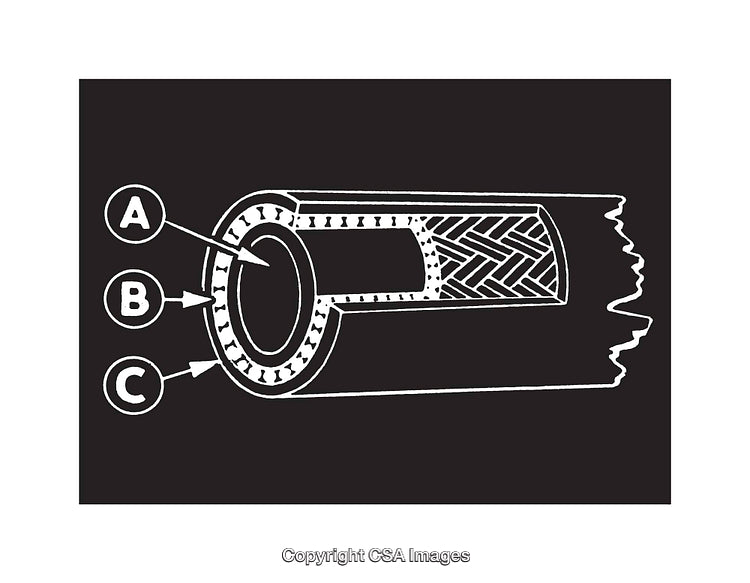 Detailed Cross-Section Diagram of a Layered Hose Structure in Black-and-White