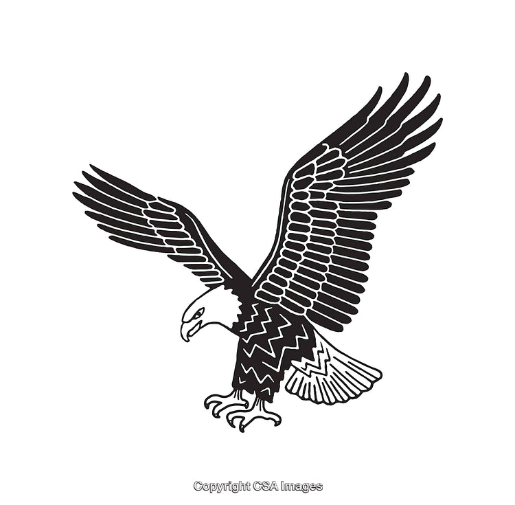 Black and White Illustration of a Flying Eagle in Line Art