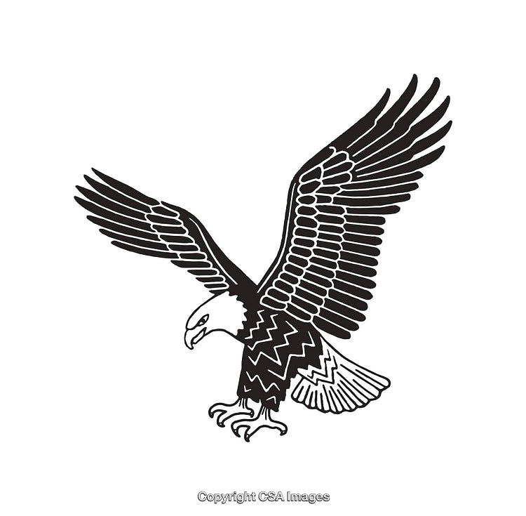 Black and White Illustration of a Flying Eagle in Line Art