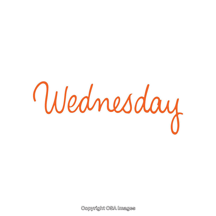 Stylized Handwritten Orange Wednesday Script on a White Background