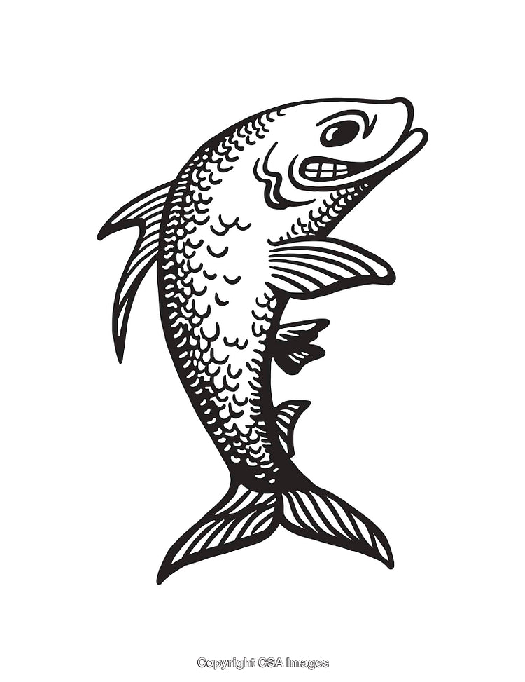 Detailed Black And White Line Illustration of a Fish Design