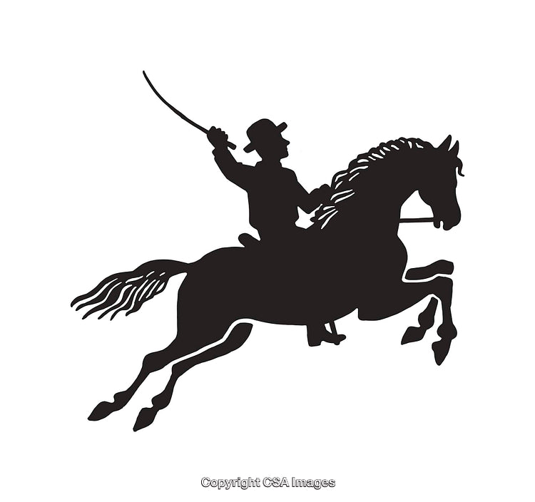 Silhouette of Horse Rider Holding a Whip in Motion