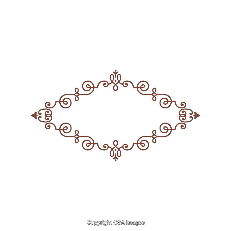 Decorative Vintage Ornamental Frame with Intricate Swirls and Borders Design