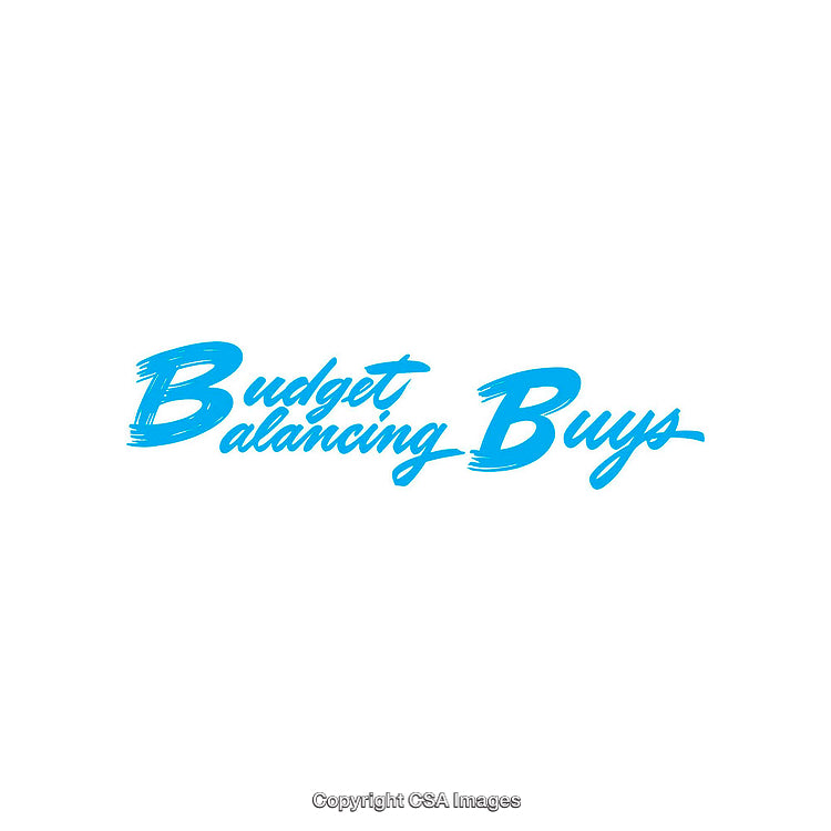 Budget Balancing Buys Text in Blue Handwritten Font with White Background