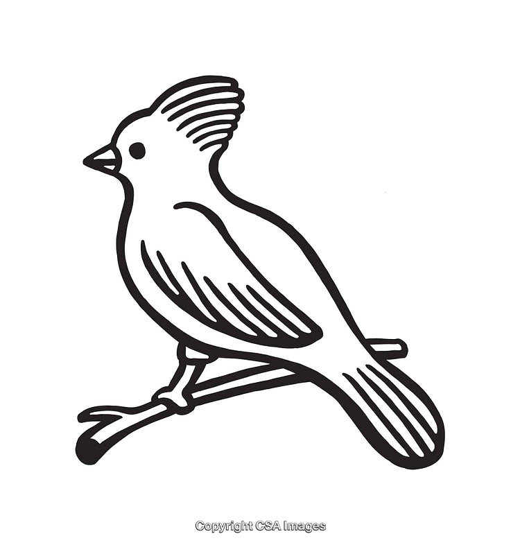 Detailed Black and White Line Art Bird Illustration on Branch
