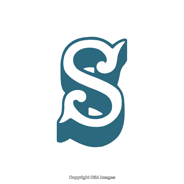Stylized Blue Letter S with Ornate Embellishments on White Background