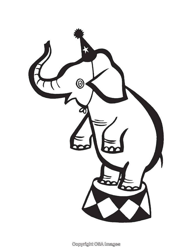 Black and White Circus Elephant Illustrations with Festive Party Elements