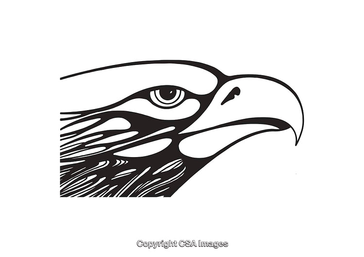 Black and White Line Art Illustration of an Eagle's Head Profile