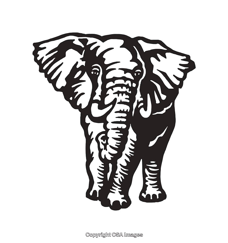 Black and White Line Art Illustration of an Elephant Facing Forward