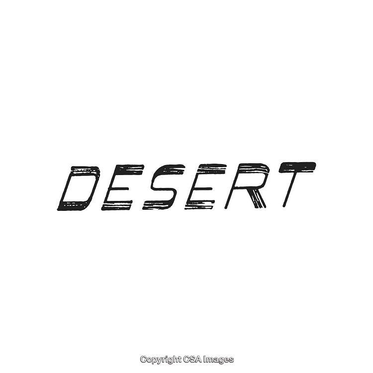 Stylized Grunge Desert Theme Typography with Distressed Lettering Design