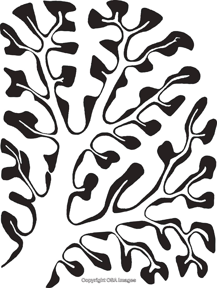 Abstract Black and White Art Featuring Tree-Like Patterns