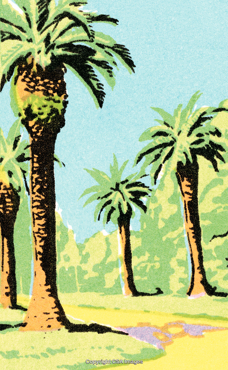 Scenic Palm Tree Landscape Illustration With Vibrant Colors and Tropical Atmosphere