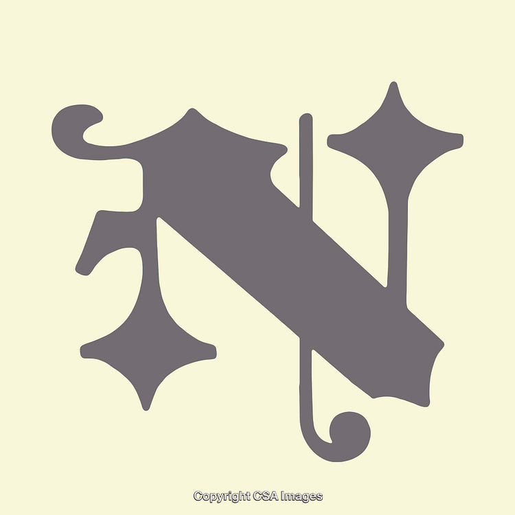 Elegant Decorative Letter N in Vintage Typography Style