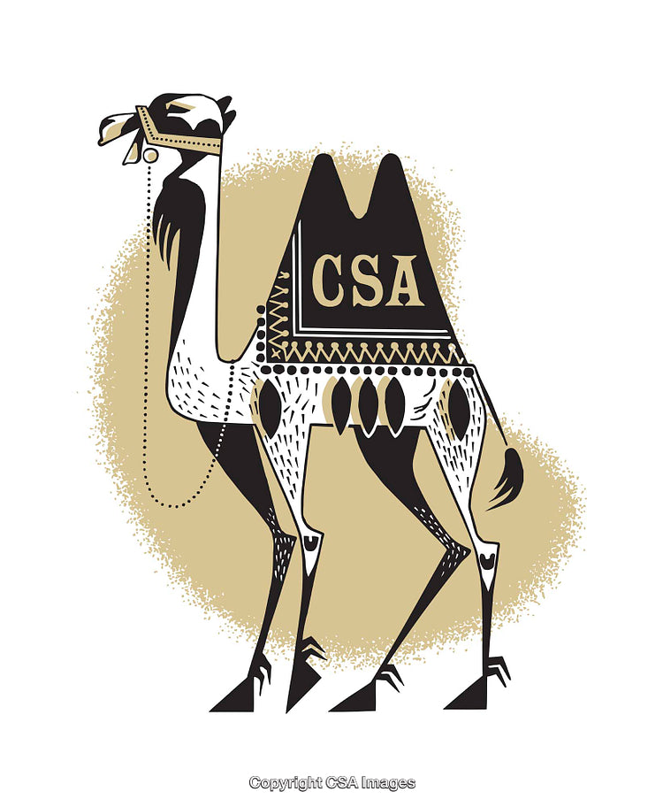Stylized Illustration of a Decorated Camel with CSA Textile Design