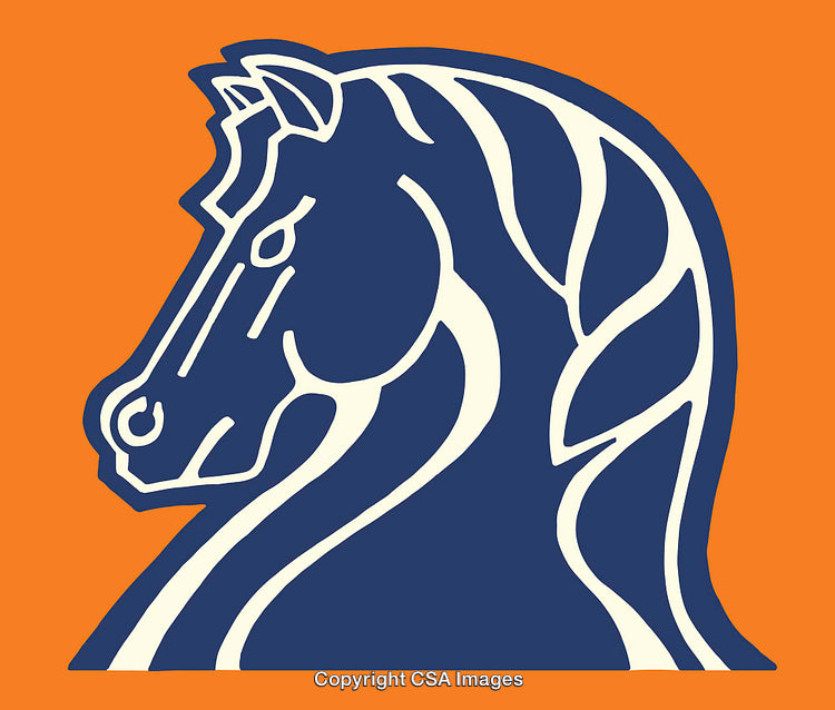 Stylized Illustration of a Horse Head with Bold Colors and Lines