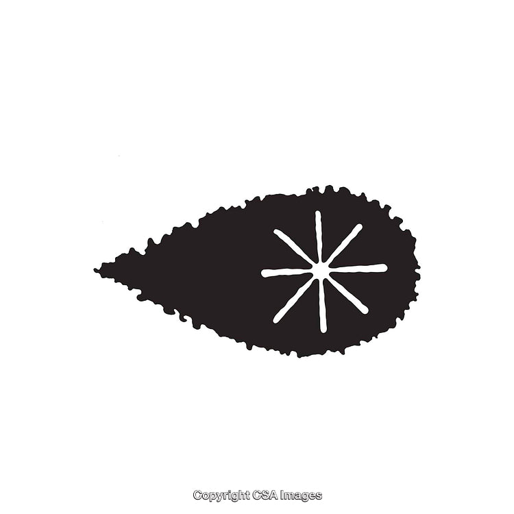 Black Teardrop Shape with White Radial Lines on Minimal Background