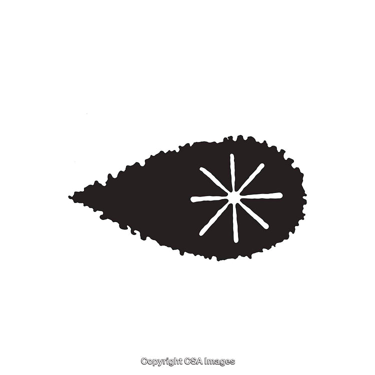 Black Teardrop Shape with White Radial Lines on Minimal Background