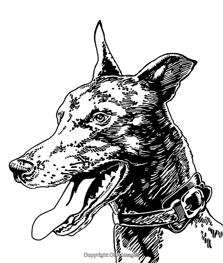 Detailed Black and White Engraving of a Dog With Collar