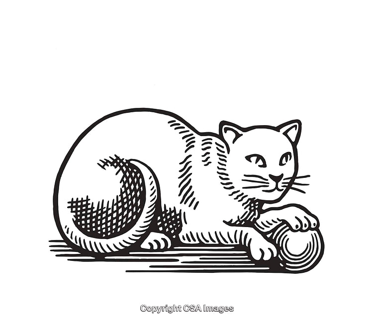 Black and White Illustration of Cat Playing With a Ball