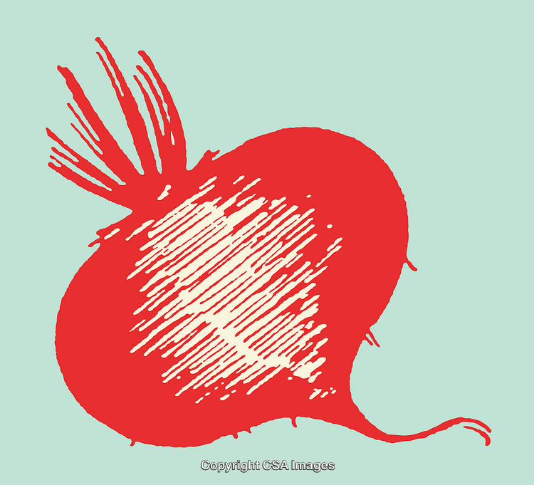 Colorful Line Art Beetroot Illustration on Light Blue Background