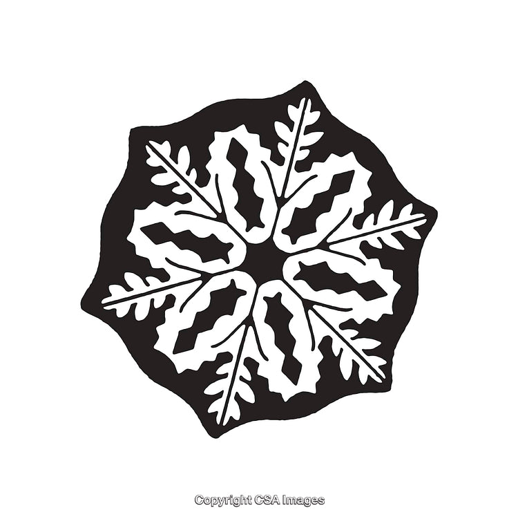 Black and White Line Art Illustration with Intricate Symmetrical Design