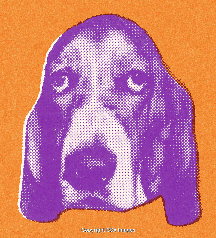 Colorful Pop Art Design of a Dog Portrait on Vibrant Background