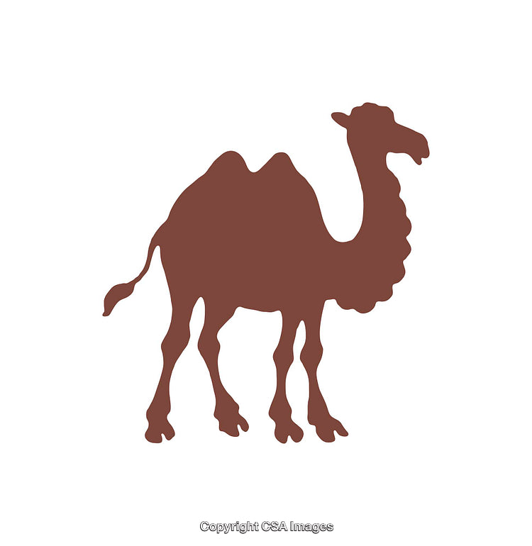 Silhouette of a Camel Icon with Minimalist Brown Design