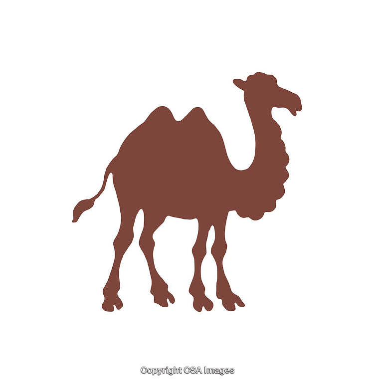 Silhouette of a Camel Icon with Minimalist Brown Design