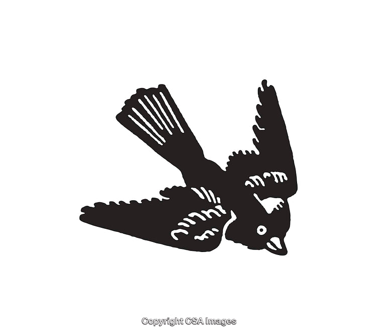 Black and White Line Art Illustration of a Flying Bird