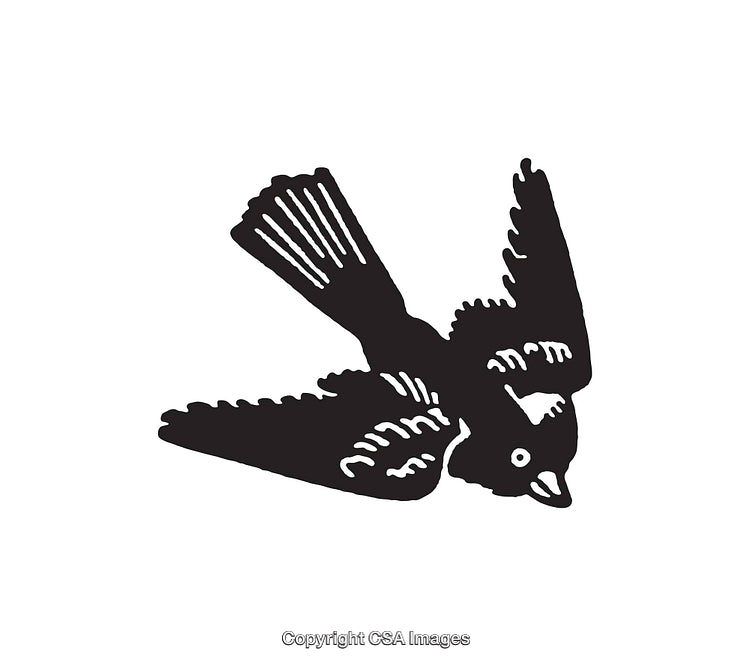 Black and White Line Art Illustration of a Flying Bird