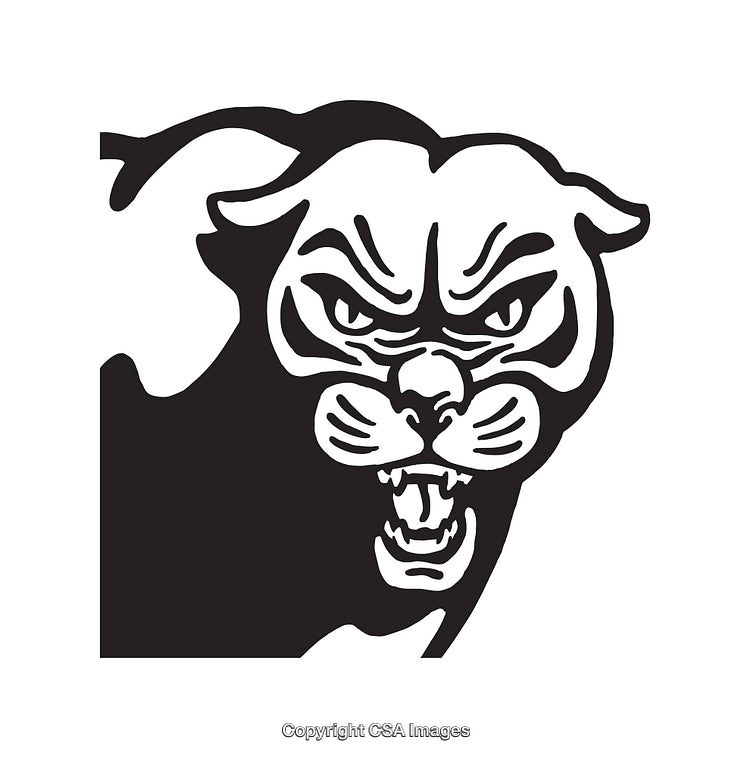 Black and White Fierce Panther Illustration in Artistic Line Art Style