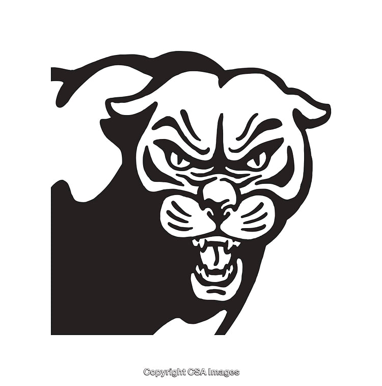 Black and White Fierce Panther Illustration in Artistic Line Art Style