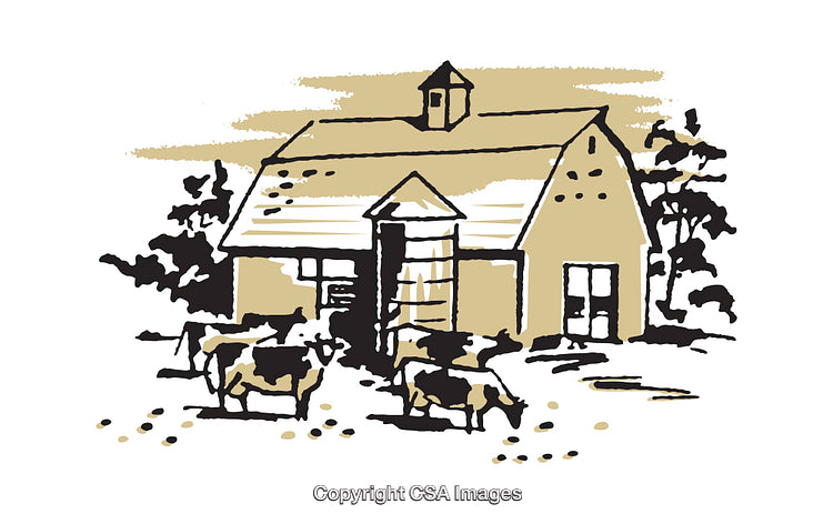 Rustic Farm Illustration Featuring Barn and Grazing Livestock in Rural Surroundings