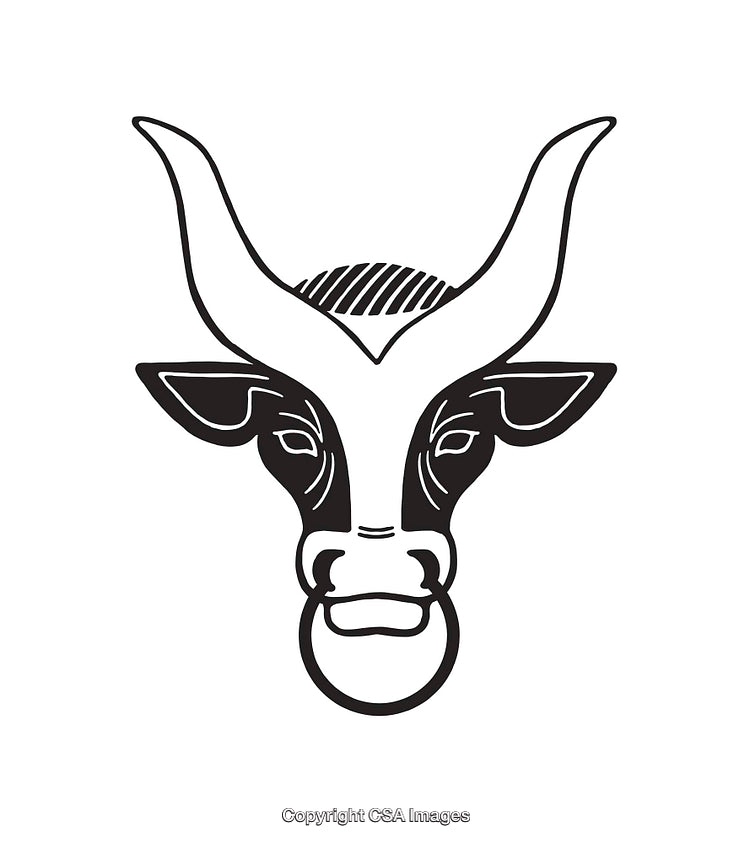 Minimalist Black And White Bull Face Line Art Illustration