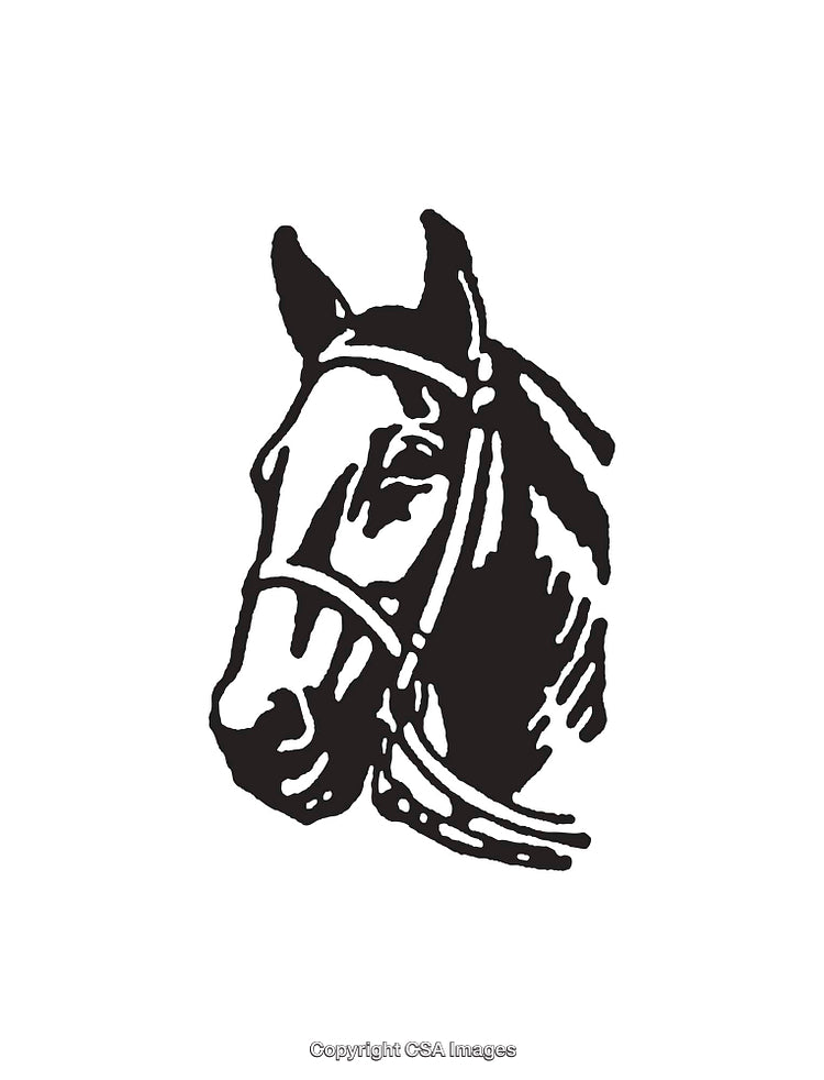 Black and White Line Art Illustration of a Horse Head