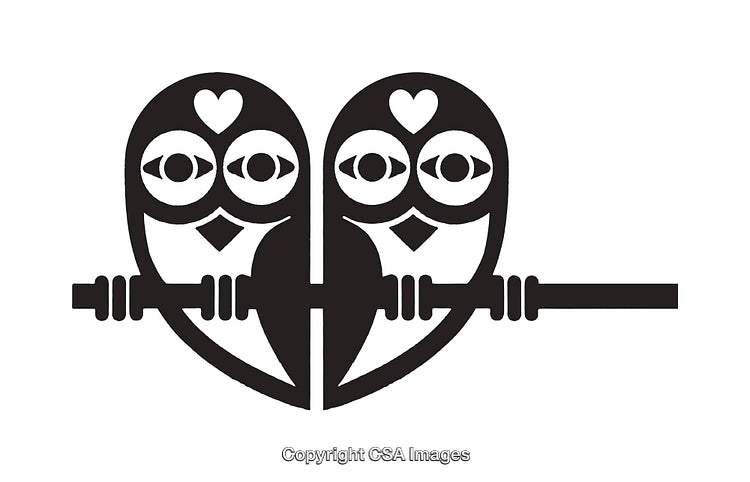 Artistic Black and White Owl Illustration with Romantic Design Accents