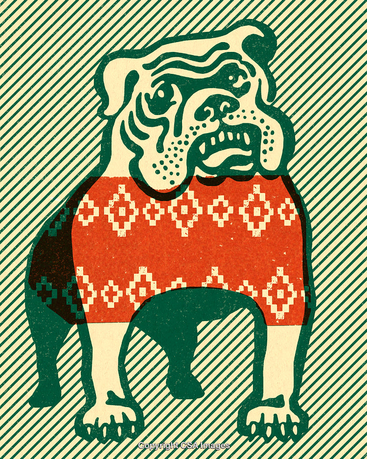 Retro Illustration of Bulldog Wearing Red Sweater with Pattern on Lined Background