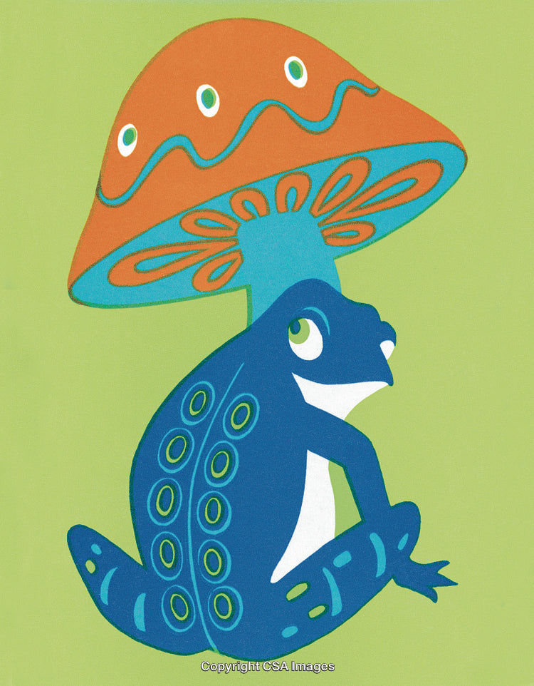 Mushroom and Frog