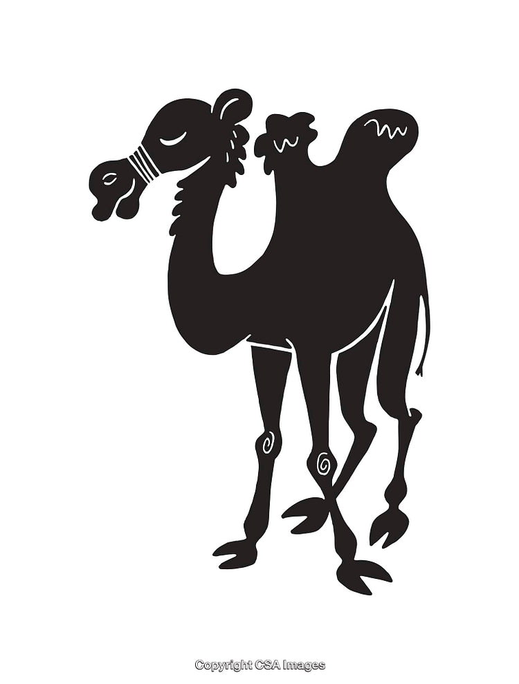 Black and White Line Art Illustration of a Camel with Two Humps