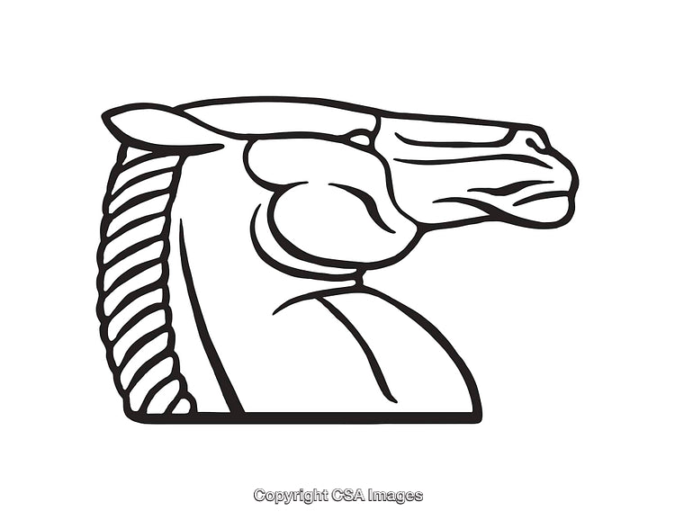Black And White Line Art Illustration of a Stylized Horse Head