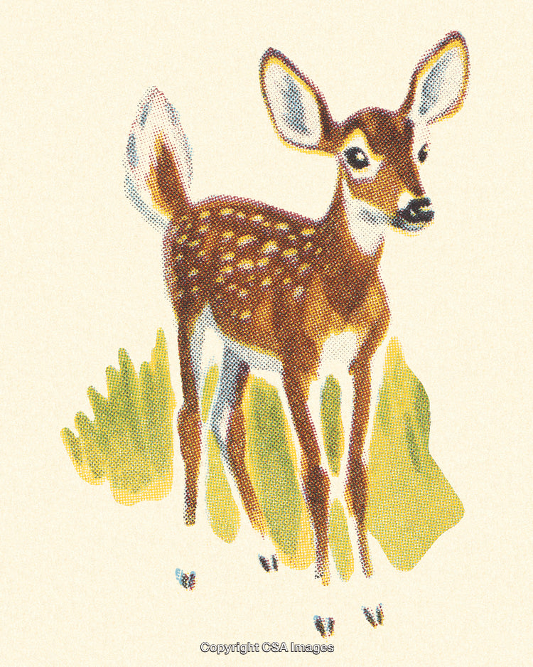 Vintage Illustration of a Young Fawn in Nature with Retro Art Style