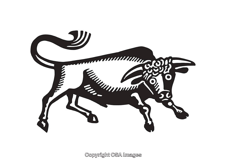 Vintage Black and White Illustration of a Charging Bull in Line Art Style