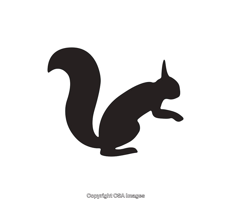 Silhouette of a Squirrel in Simple Black and White Icon Design