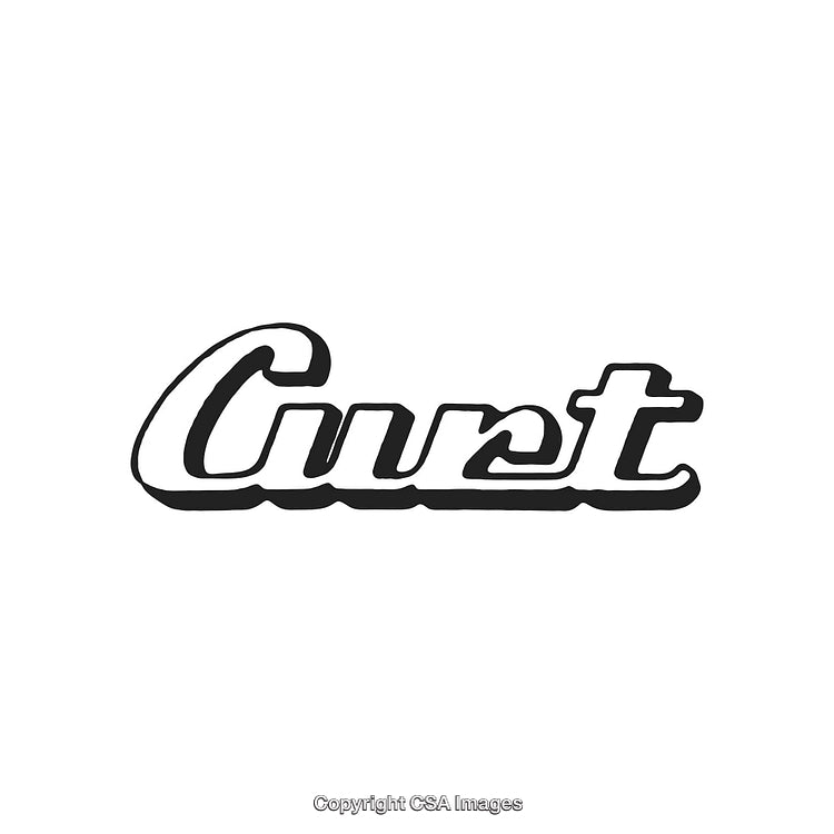 Elegant Handwritten Logo Design with Bold and Classic Calligraphy Style