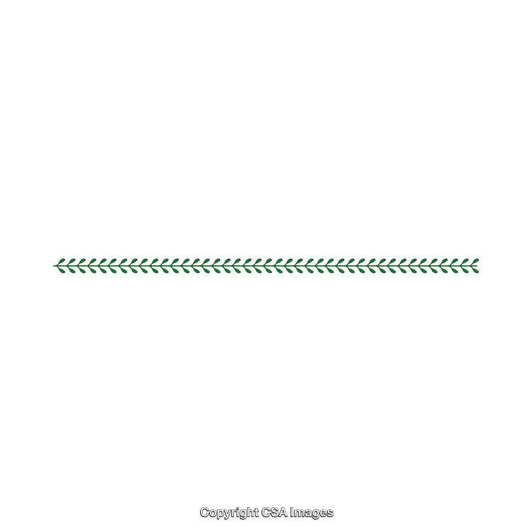 Minimal Green Leaf Border Design on a White Background